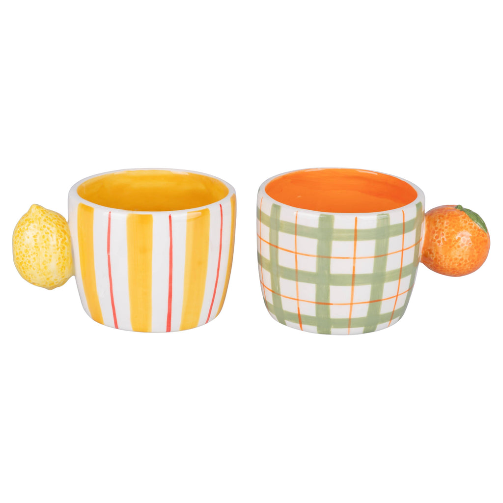 Fruit life  mug 2 ass / manico agrumi
