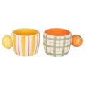 Fruit life  mug 2 ass / manico agrumi