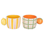 Fruit life  mug 2 ass / manico agrumi