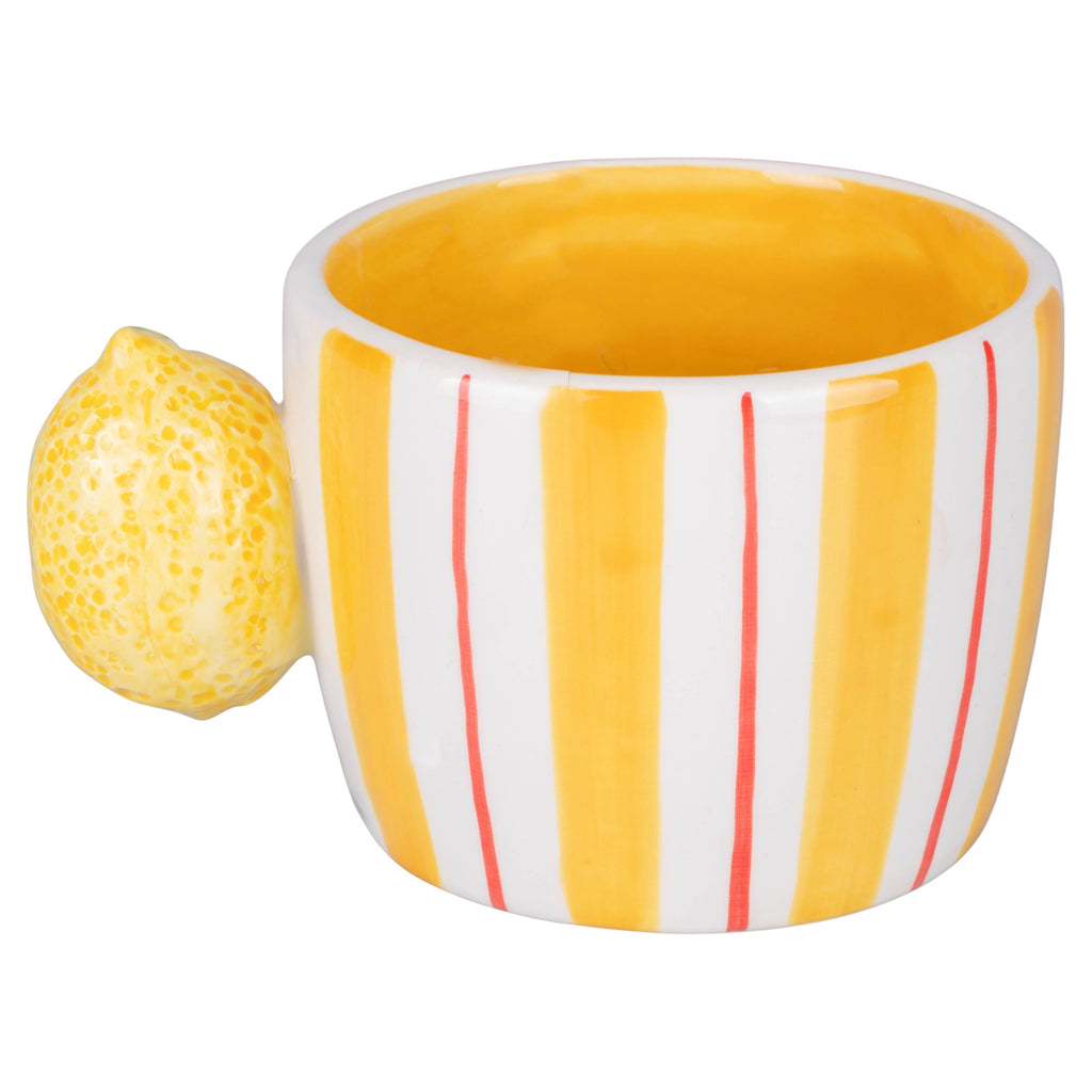 Fruit life  mug 2 ass / manico agrumi
