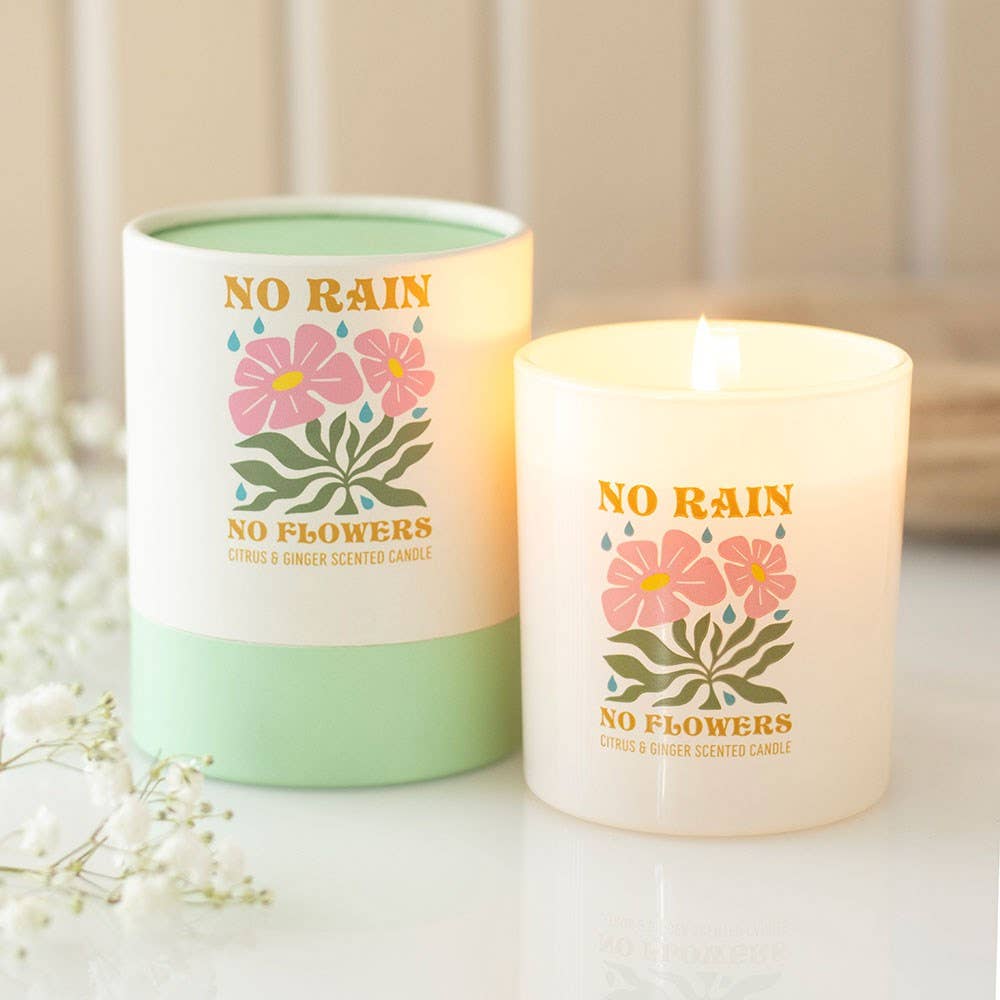 No Rain No Flowers — Candela agli agrumi e zenzero