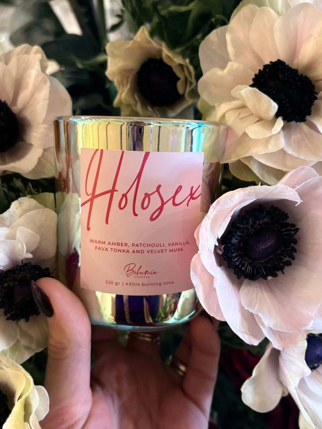 Bohemia candela Holosex
