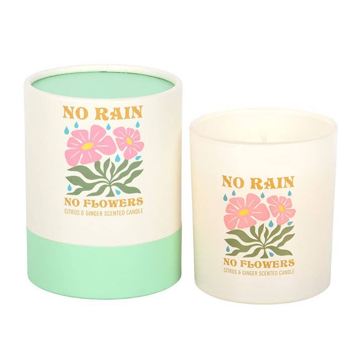 No Rain No Flowers — Candela agli agrumi e zenzero